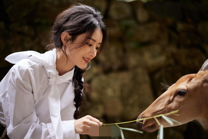  Triệu Lệ Dĩnh thừa nhận EQ thấp, tồn tại trong Cbiz nhờ thực lực Ảnh 1
