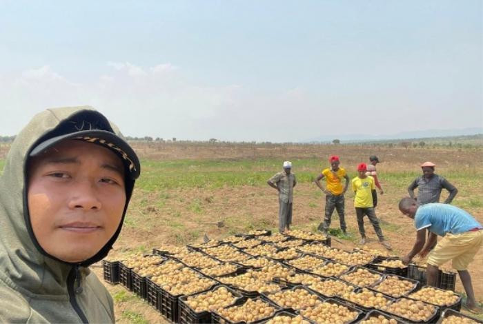 Team Quang Linh thu hoạch khoai tây bán 'cháy hàng', bất ngờ số tiền nhận về Ảnh 5