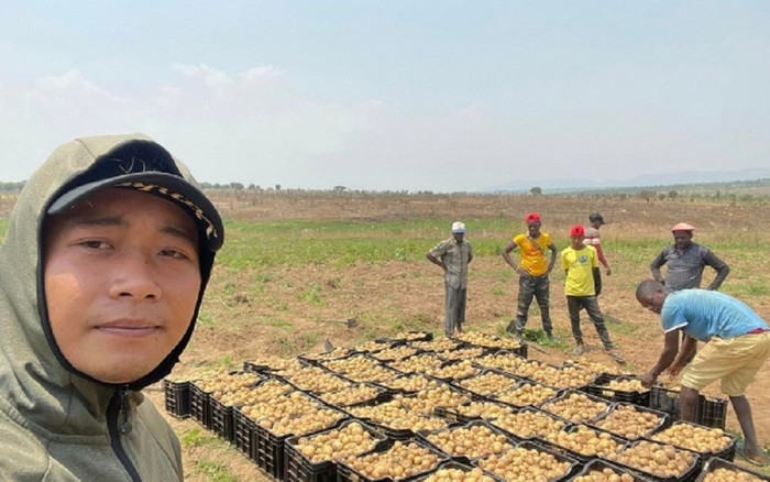 Team Quang Linh thu hoạch khoai tây bán 'cháy hàng', bất ngờ số tiền nhận về Ảnh 2