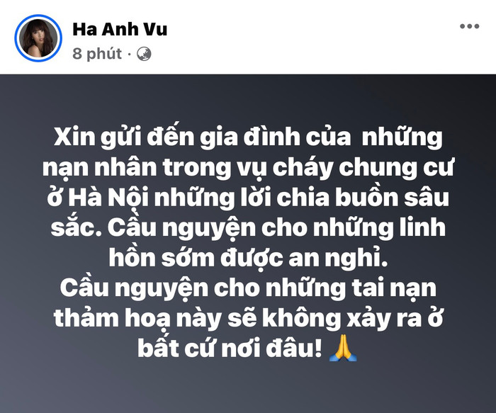 Nghệ sĩ Việt gửi lời chia buồn tới gia đình nạn nhân trong vụ cháy chung cư mini Ảnh 3