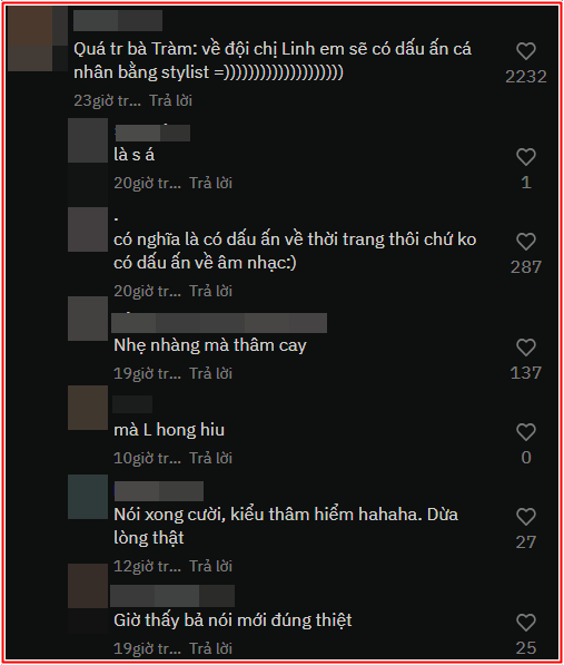 Nữ ca sĩ nổi tiếng 'đá xéo' Hoàng Thùy Linh, được dân mạng khen hết lời Ảnh 3