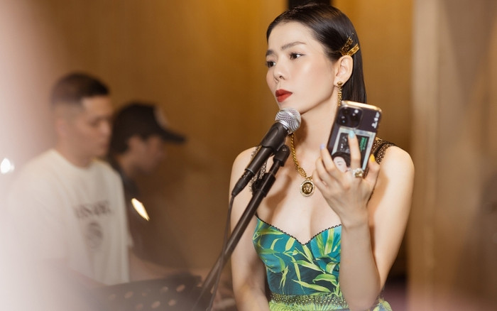 Ngẫu hứng cover nhạc trẻ, Lệ Quyên bị chê: 'Chỉ nên hát Bolero thôi' Ảnh 2