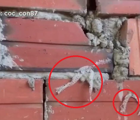 Vô tình tạt sữa mẹ lên tường, ít hôm sau người đàn ông phát hiện điều khó hiểu Ảnh 3