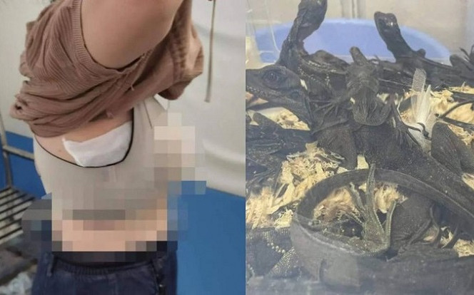 Quần áo lồi lõm bất thường, cô gái khiến hải quan rùng mình khi kiểm tra Ảnh 2