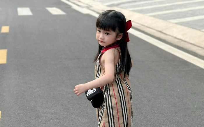 Đoàn Di Băng thuê gia sư về dạy tiếng Việt cho gái út, nguyên nhân gây bất ngờ Ảnh 2