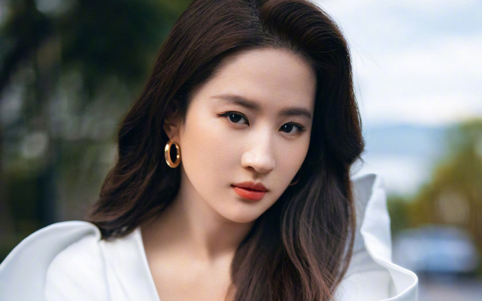 Một tỷ phú đình đám xứ Trung công khai nhắc đến Lưu Diệc Phi Ảnh 2