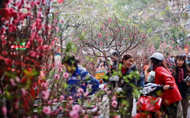 Bộ Nội vụ thống nhất phương án nghỉ Tết Nguyên đán 2024 kéo dài 7 ngày Ảnh 2