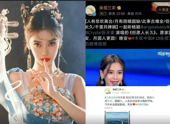 Hoa 85 đình đám bị phong sát nhường sự nổi tiếng cho Triệu Lệ Dĩnh, Dương Mịch Ảnh 3