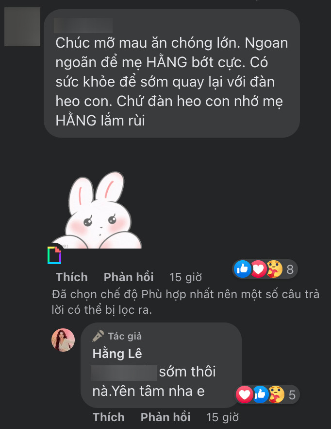 Minh Hằng còn hé lộ thời gian quay trở lại hoạt động nghệ thuật. (Ảnh chụp màn hình)