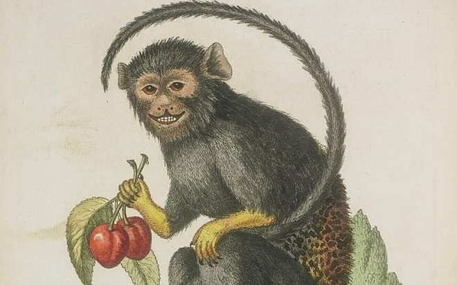 Bước qua tháng 'cô hồn', 3 con giáp đạp gió đón tiền tài, ung dung hưởng phúc Ảnh 2