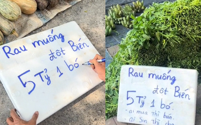 Người đàn ông bán '5 tỷ/ bó rau muống', dân mạng bất ngờ gọi tên Thái Công Ảnh 2