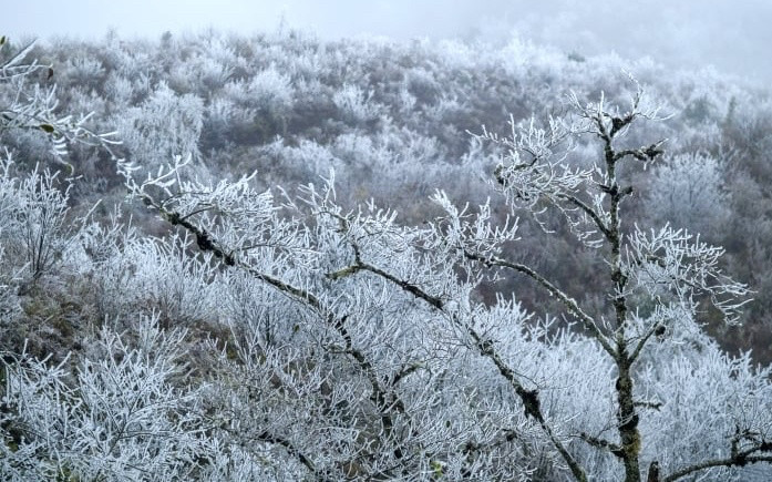 Miền Bắc sẽ mưa lạnh đến khi nào? Ảnh 2