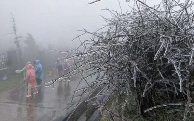 Hình minh họa&nbsp;