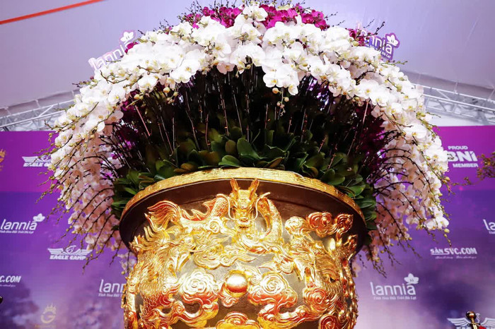 Chậu hoa lan hồ điệp này có 9 tầng hoa mang tên 'cửu long tranh châu' cao khoảng 4 m, tán rộng gần 2 m, nặng hơn 1 tấn. Ảnh: PLO