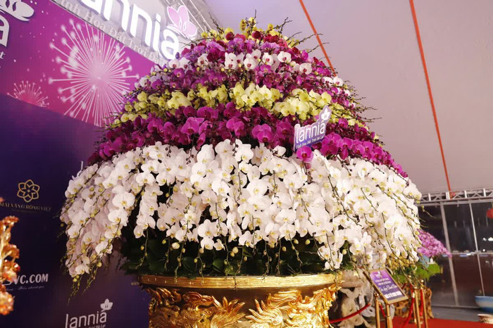 Bên cạnh đó, chiếc chậu còn được mạ vàng 24k hình rồng. Để hoàn thiện chậu hoa này, cần 5 -6 thợ lành nghề và thời gian là 3 tháng. Ảnh: PLO