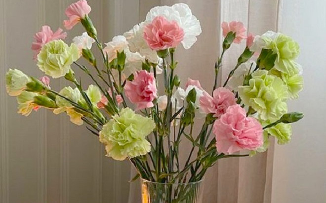 Những loại hoa đẹp mấy không cắm ngày Tết kẻo rước xui xẻo, hao tài tốn lộc trong năm mới Ảnh 2
