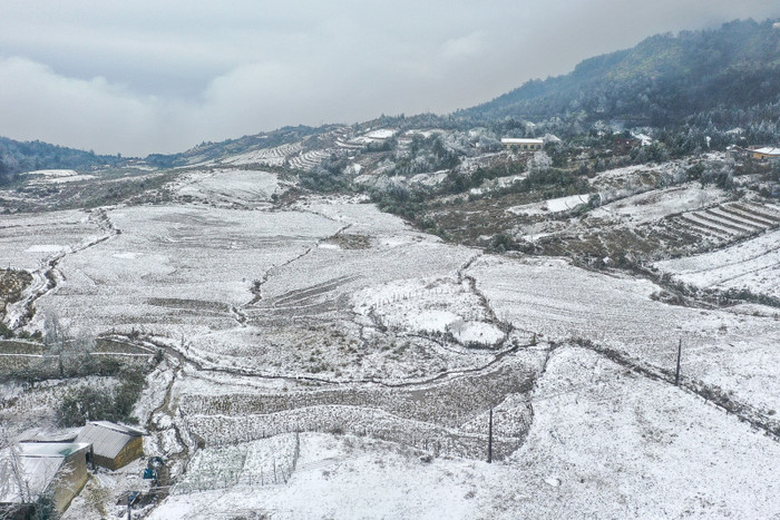 Ảnh minh họa&nbsp;