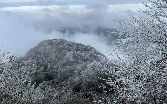 Đợt rét đậm, rét hại diện rộng ở Bắc Bộ kéo dài trong nhiều ngày Ảnh 2