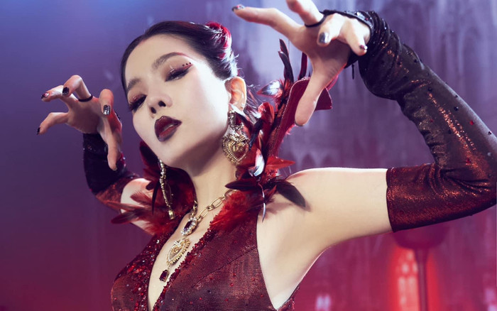 Bị mỉa mai tính cách ghê gớm, Lệ Quyên đáp trả cực gắt Ảnh 2