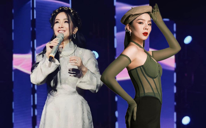 Lệ Quyên chửi bới trên trang cá nhân của diva Hồng Nhung, câu từ khiến ai cũng ngao ngán Ảnh 2