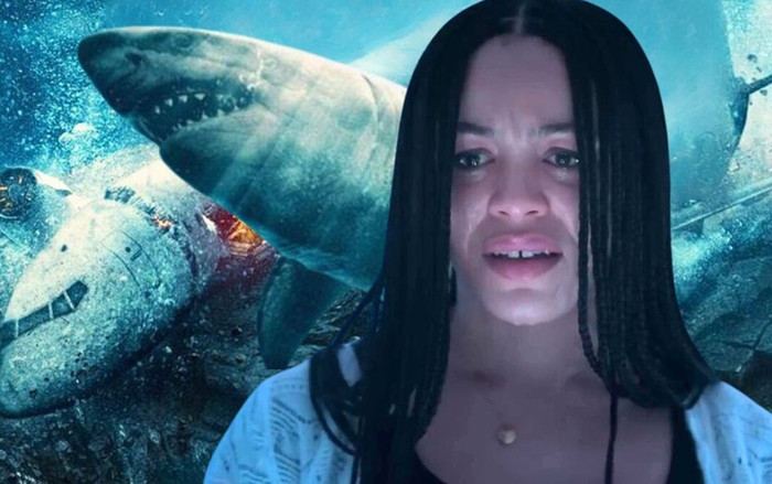Những bộ phim về đề tài cá mập khiến khán giả phải 'lạnh sống lưng': Vòng Vây Cá Mập có làm nên chuyện? Ảnh 2