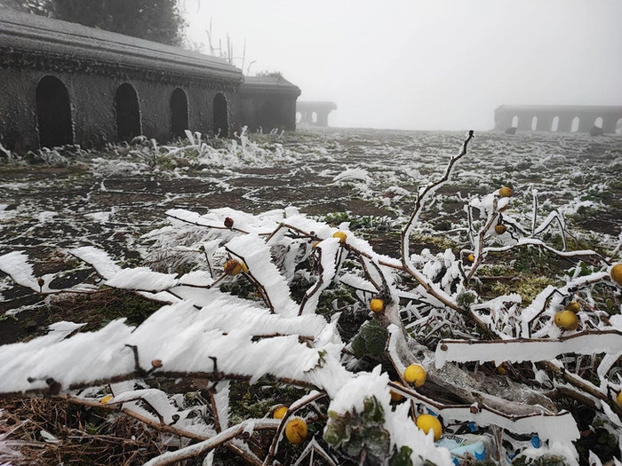 Dự báo, trong hôm nay nhiệt độ ở Mẫu Sơn vẫn ở ngưỡng dưới 0 độ C nên khả năng băng giá kéo dài đến ngày mai. Ảnh: Tuổi Trẻ Online