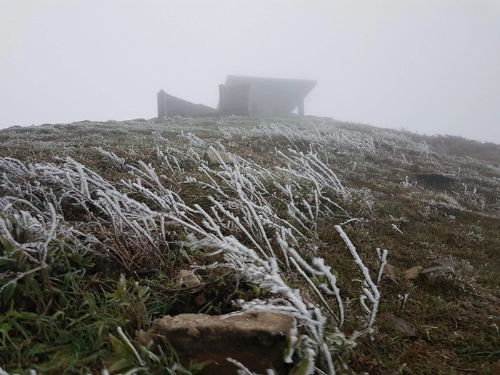 Băng giá phủ kín các cành cây, ngọn cỏ. Ảnh: Báo Thanh Niên