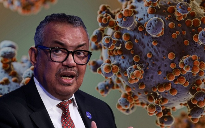 WHO cảnh báo 'bệnh X' - dịch bệnh chết chóc gấp 20 lần Covid-19 Ảnh 2