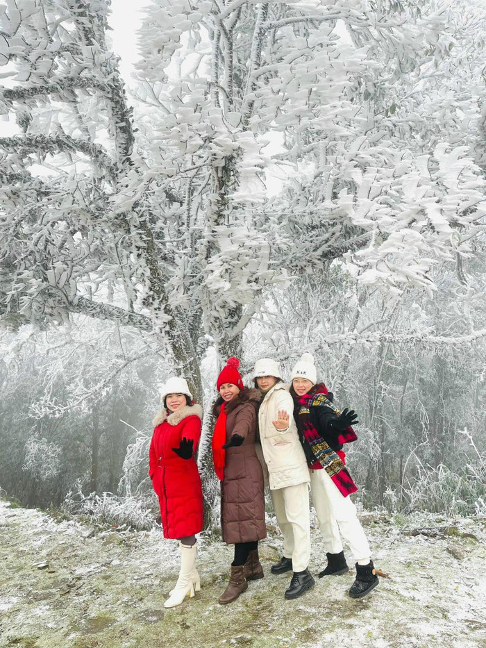 Băng tuyết xuất hiện khiến cảnh vật, cây cối... đâu đâu cũng được phủ tuyết trắng xóa. Ảnh: Beat Hà Nam