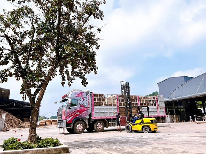 N.H dán những hình Hello Kitty trên container càng khiến nhiều người ấn tượng