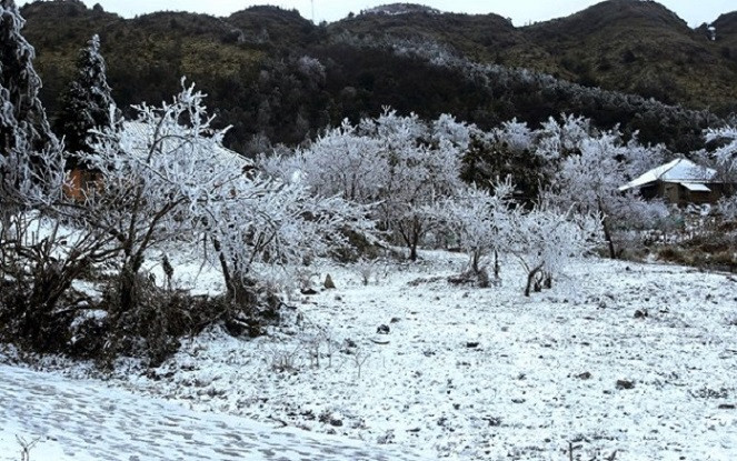 Miền Bắc vẫn lạnh tê tái, từ rét hại chuyển sang rét đậm Ảnh 2