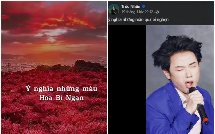 Trend 'hoa bỉ ngạn' đang hot rần rần trên mạng xã hội là gì? Ảnh 2