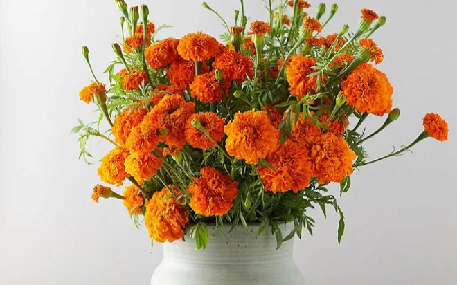 Những loại hoa đẹp đến mấy cũng tuyệt đối không đem chưng trên bàn thờ ngày Tết Ảnh 2