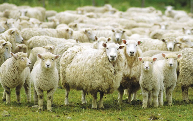 Công ty thưởng Tết 2 tháng lương, cao nhất 100 triệu nhưng quà đi kèm mới 'gây sốt' Ảnh 2