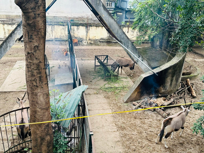 Củi đốt liên tục để sưởi ấm 