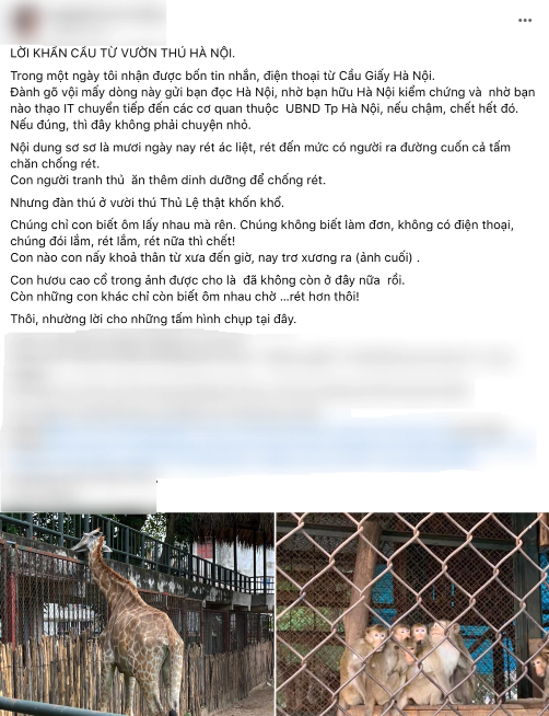 Sự thật bên trong sở thú Hà Nội những ngày rét 10 độ C: Động vật có 'co ro trong giá rét' như lời đồn? Ảnh 1