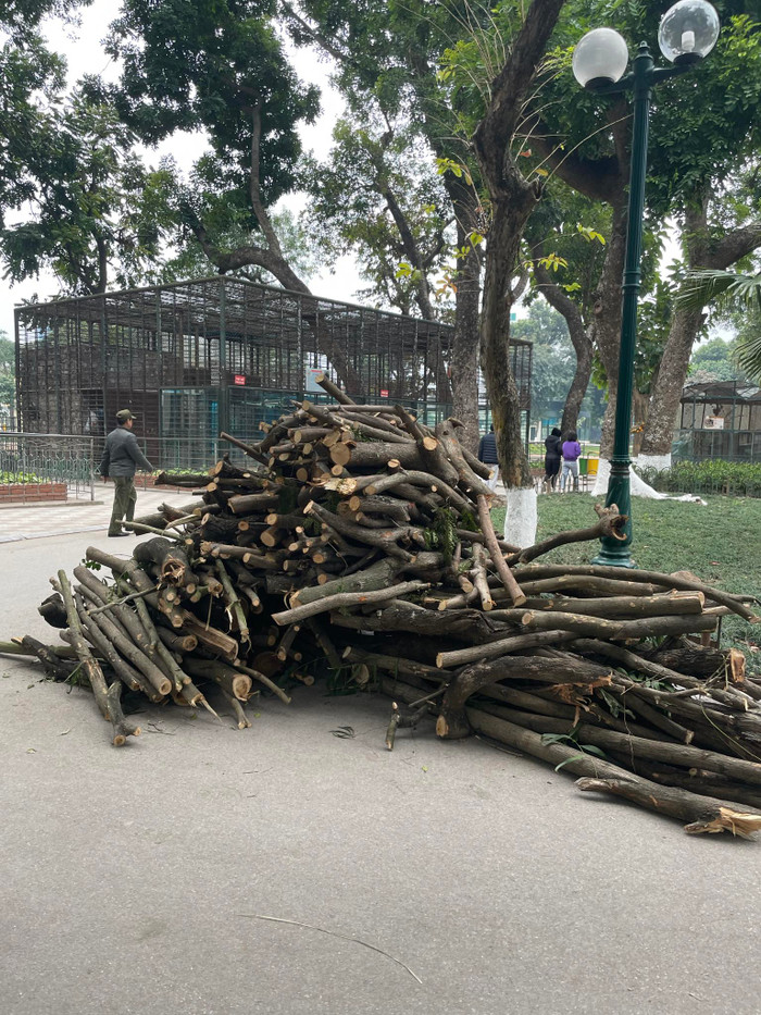 Củi được chuẩn bị sẵn để chống rét cho động vật tại vườn thú