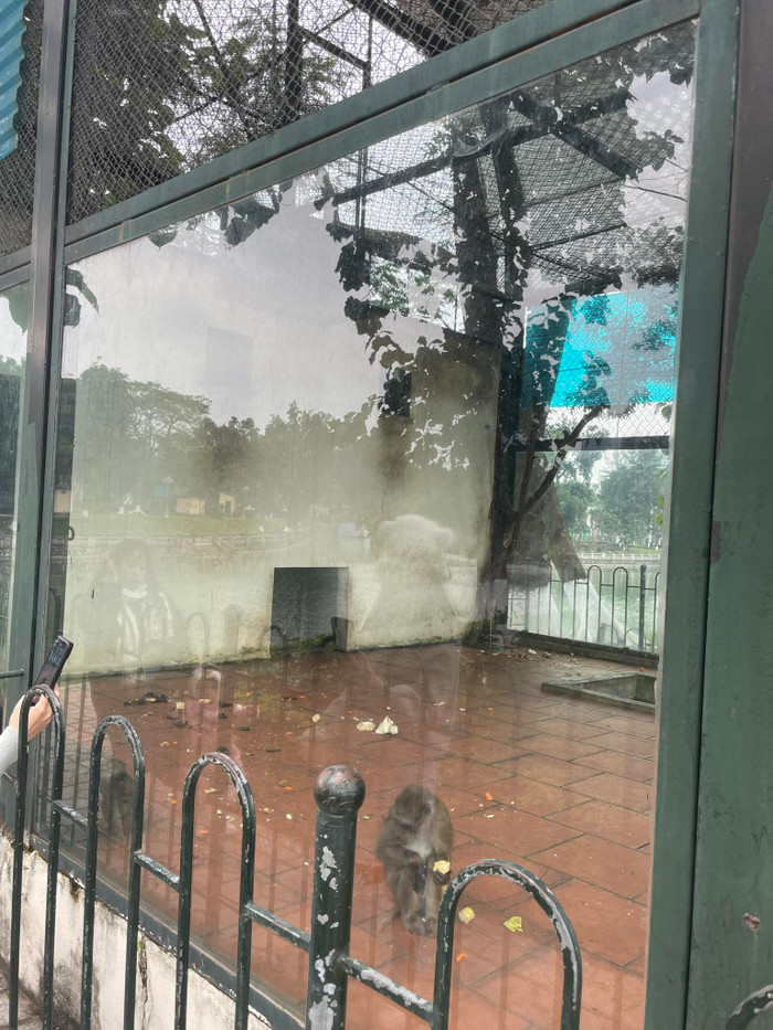 Hầu hết các chuồng nuôi nhốt động vật tại vườn thú Thủ Lệ được lắp đặt kính cường lực để đảm bảo an toàn, mỹ quan cho du khách đến tham quan và giữ ấm cho động vật.