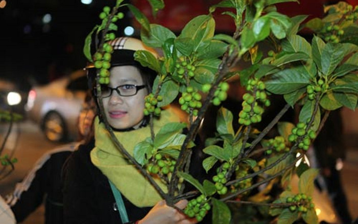 Hái lộc đầu năm cần kiêng kỵ điều gì? Ảnh 2