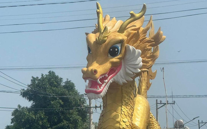 Rồng TP Cam Ranh lộ diện: Người khen dễ thương, người nói giống kỳ lân Ảnh 2