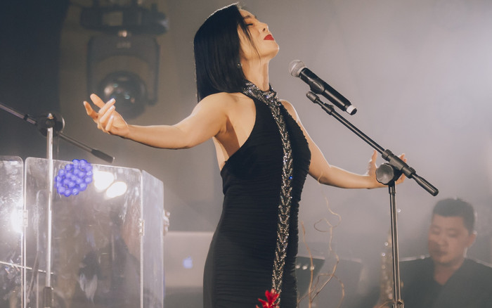 Lệ Quyên 'chỉa micro' nhờ khán giả hát, nhận về cái kết đầy bất ngờ Ảnh 2