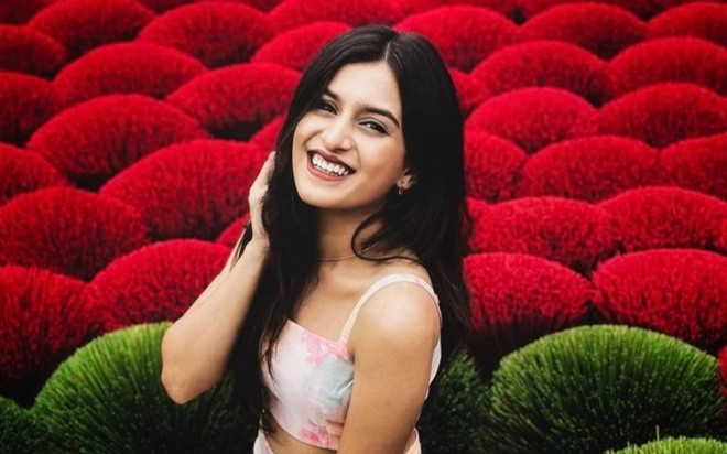 Khách nước ngoài 'phát sốt' trước vẻ đẹp của làng hương cổ Việt Nam Ảnh 2