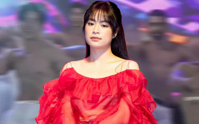 Nhiều nam vương 6 múi mê mẩn Hoàng Thùy Linh: Sức hút khó cưỡng lại được! Ảnh 2