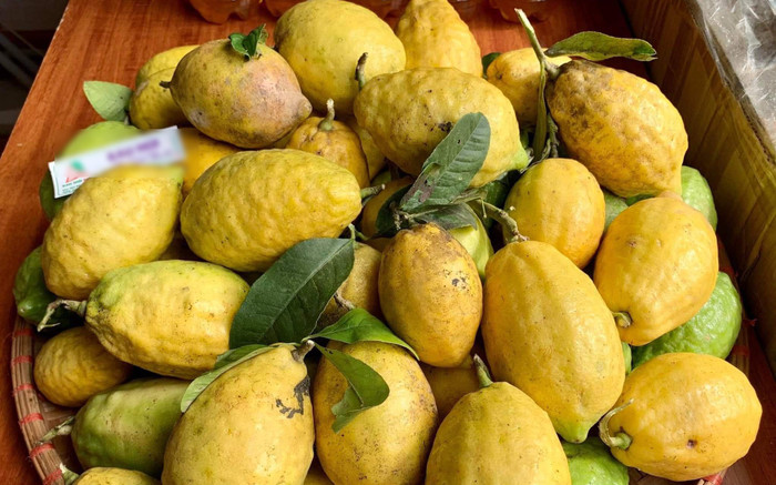 Loại quả xưa ít ai biết, giờ thành đặc sản được dân phố lùng mua nhưng khan hiếm, 100.000 đồng/kg Ảnh 2