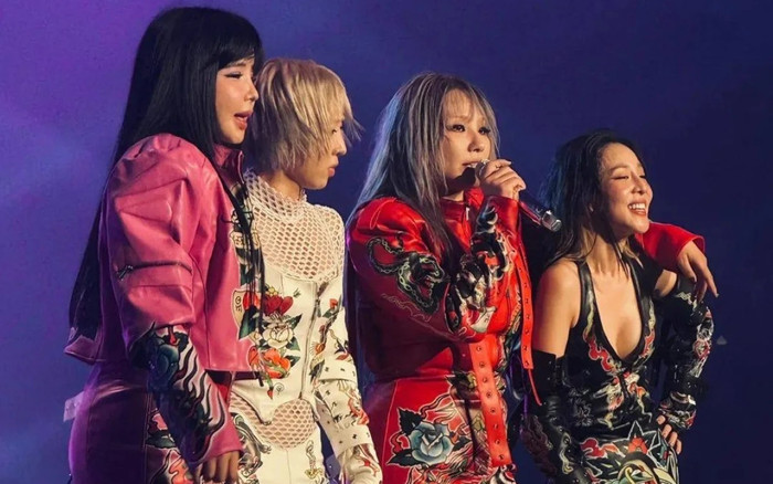 2NE1 gây thất vọng Ảnh 2