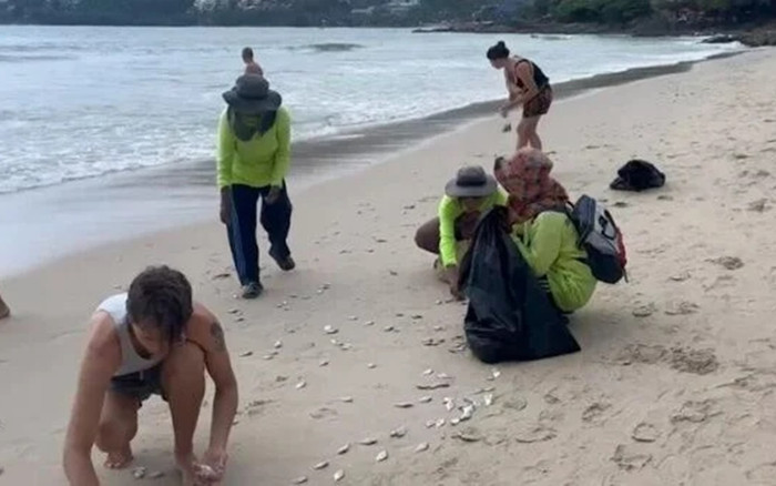 Hàng nghìn con cá chết trôi dạt vào bãi biển, chuyên gia lên tiếng cảnh báo Ảnh 2