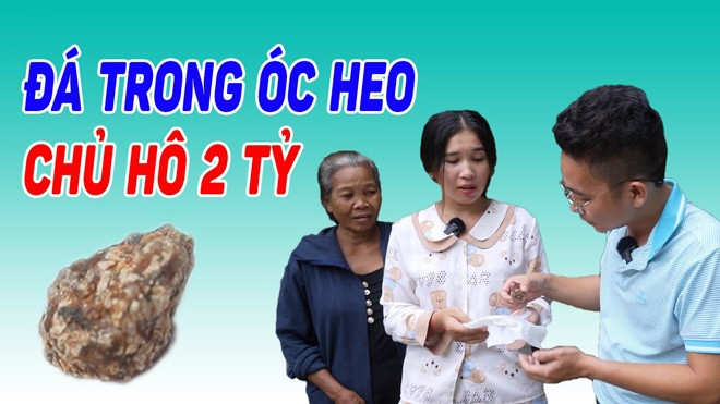 Phát hiện viên đá thoang thoảng mùi thơm trong óc heo, người phụ nữ rao bán với giá 2 tỷ Ảnh 2