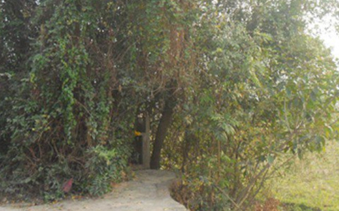 Bí ẩn ngôi mộ vô danh được đồn 'tự lớn' và loạt chuyện ly kỳ xảy ra Ảnh 2