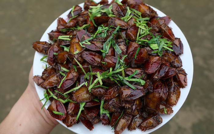 Đặc sản nhìn ghê rợn không ai dám ăn, giờ được các nhà hàng ưa chuộng, 400.000 đồng/kg Ảnh 2