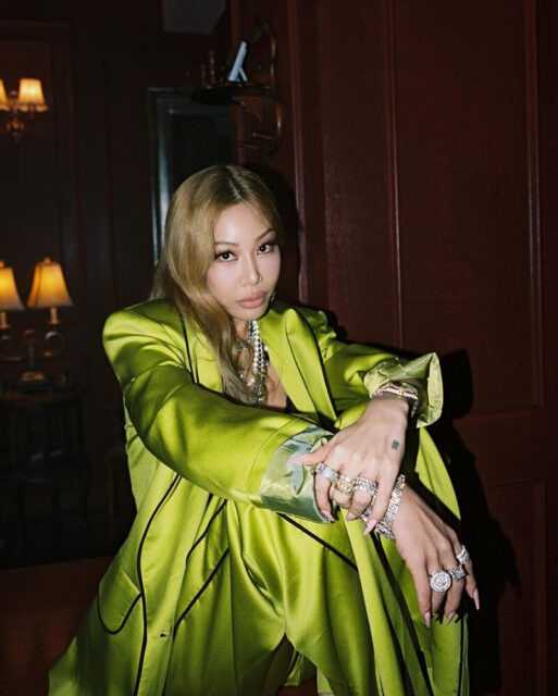 Khán giả yêu cầu Jessi rời khỏi Hàn Quốc vì vụ fan bị hành hung Ảnh 2